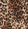 1 Yard DTY Animal Print Knit Fabric Soft Stretch Polyester Spandex 58/60” Wide